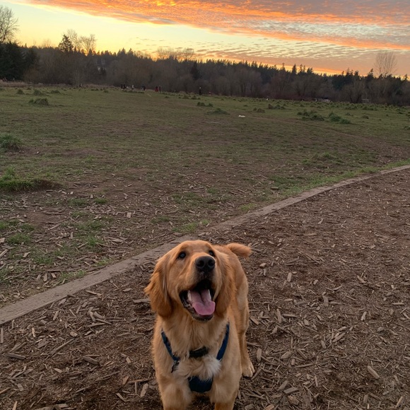 hi there! - Picture 2 of 3